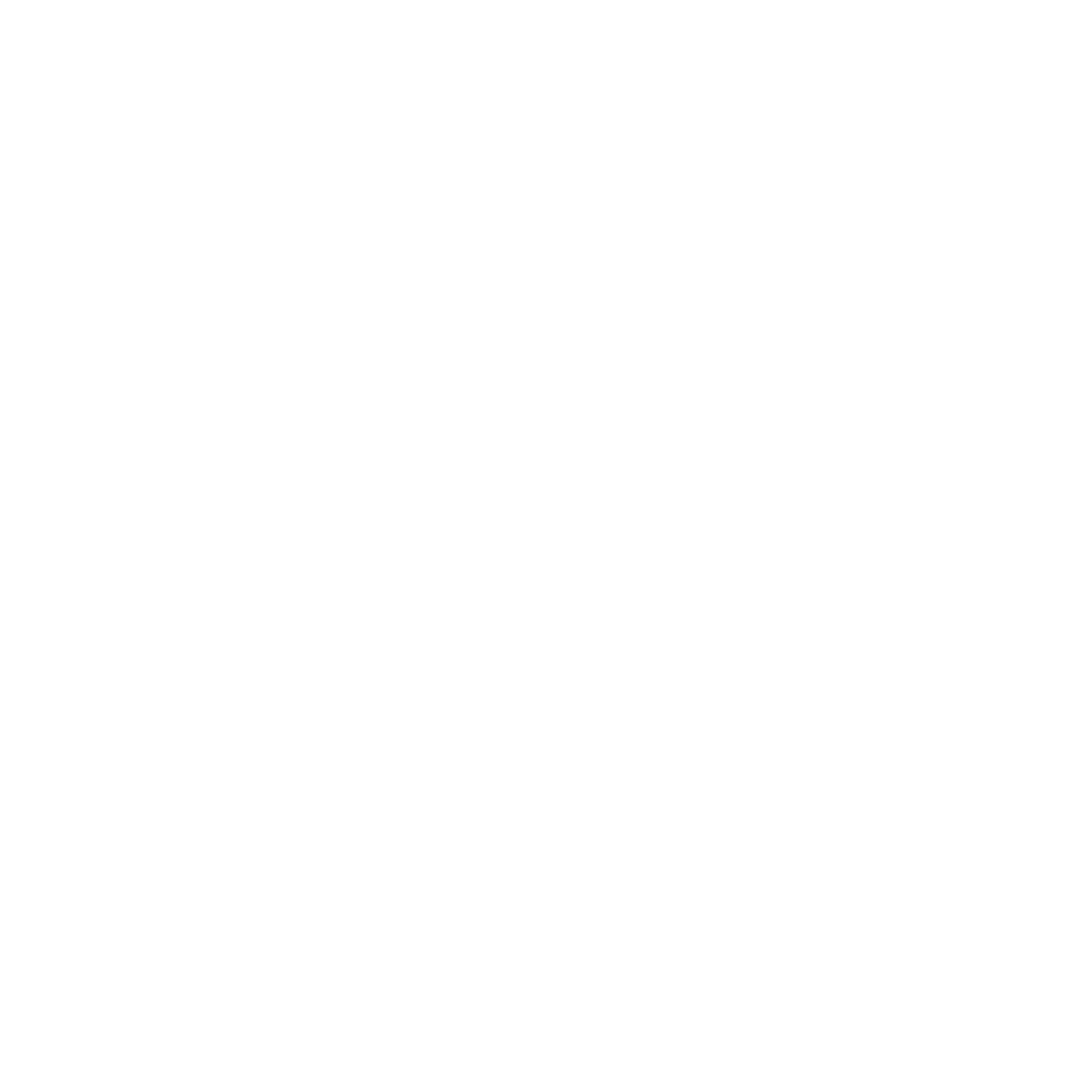 Payload Logo
